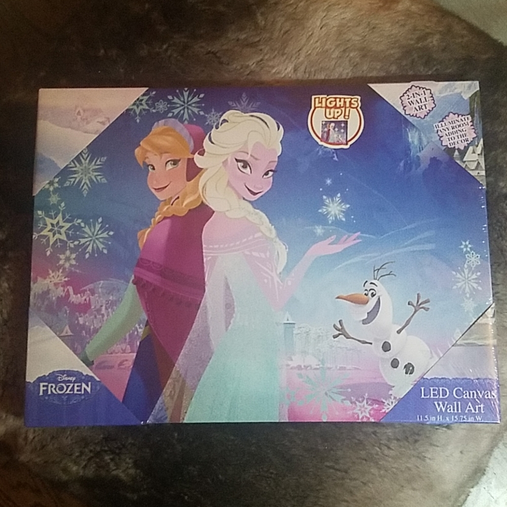 Frozen LED Canvas Art